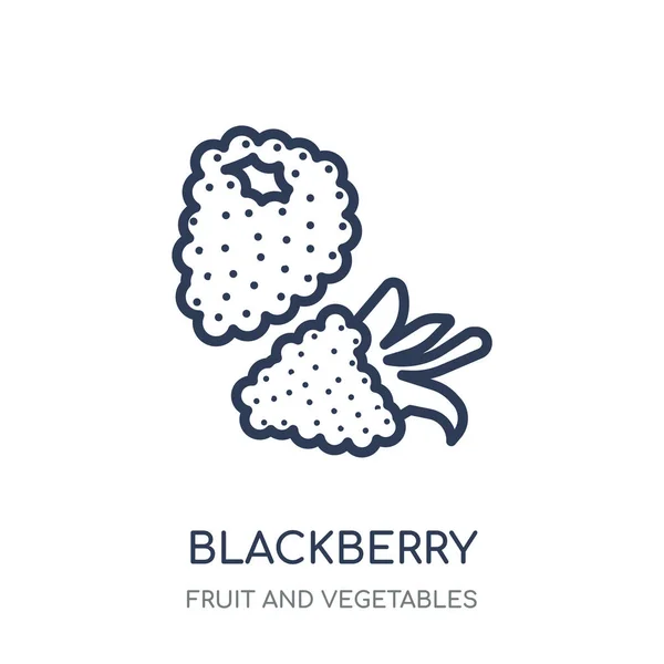 Icono Blackberry Diseño Símbolo Lineal Mora Colección Frutas Verduras Esquema — Vector de stock