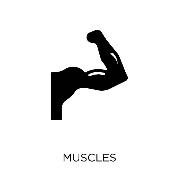 Icône Musculaire Conception Symboles Musculaires Collection Gym Fitness Illustration Vectorielle — Image vectorielle