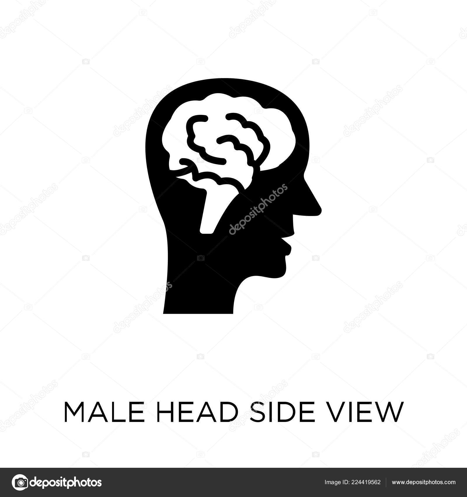 male head side view male head side view