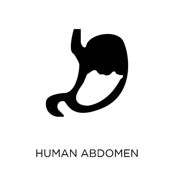 Human Abdomen icon. Human Abdomen symbol design from Human Body Parts collection.