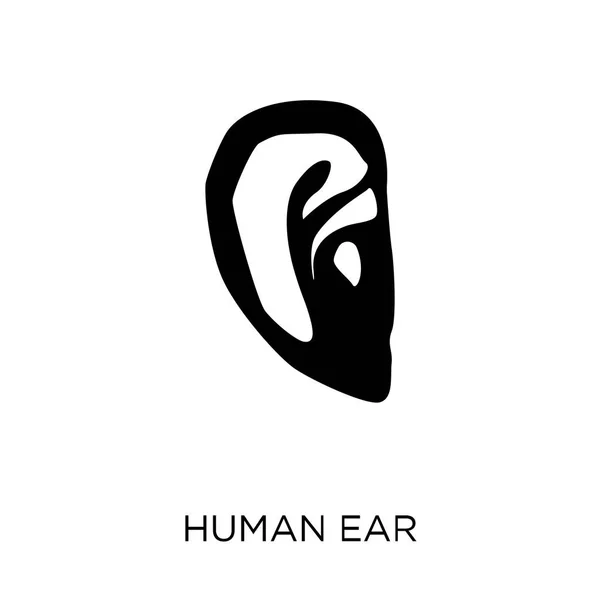 Ανθρώπινο Αυτί Εικονίδιο Ανθρώπινο Αυτί Σύμβολο Σχέδιο Από Συλλογή Μέρη — Διανυσματικό Αρχείο