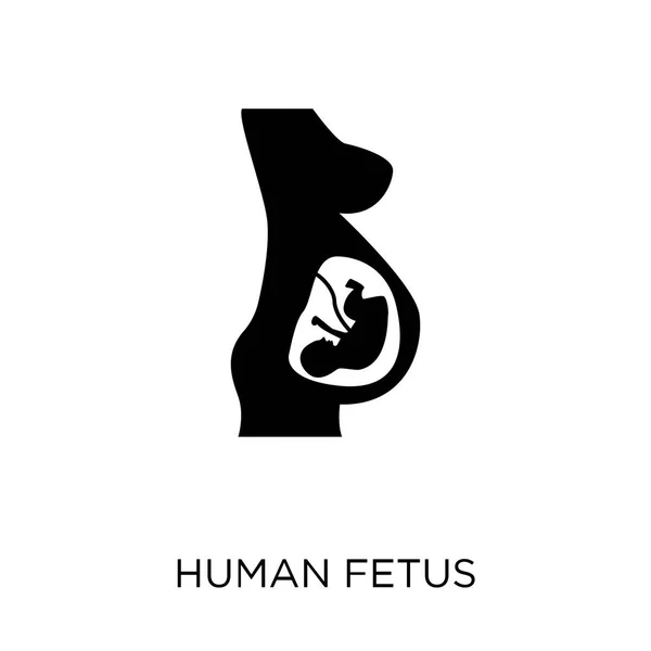 Icône Fœtus Humain Conception Symbole Foetus Humain Collection Pièces Corps — Image vectorielle