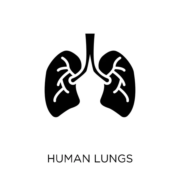 Icono Pulmones Humanos Diseño Del Símbolo Human Lungs Colección Human — Archivo Imágenes Vectoriales