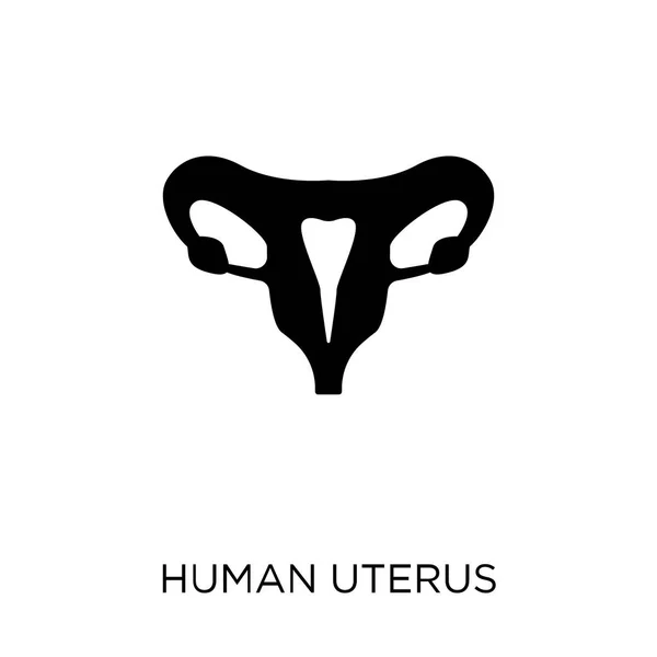 Ícone Útero Humano Design Símbolo Útero Humano Coleção Partes Corpo — Vetor de Stock