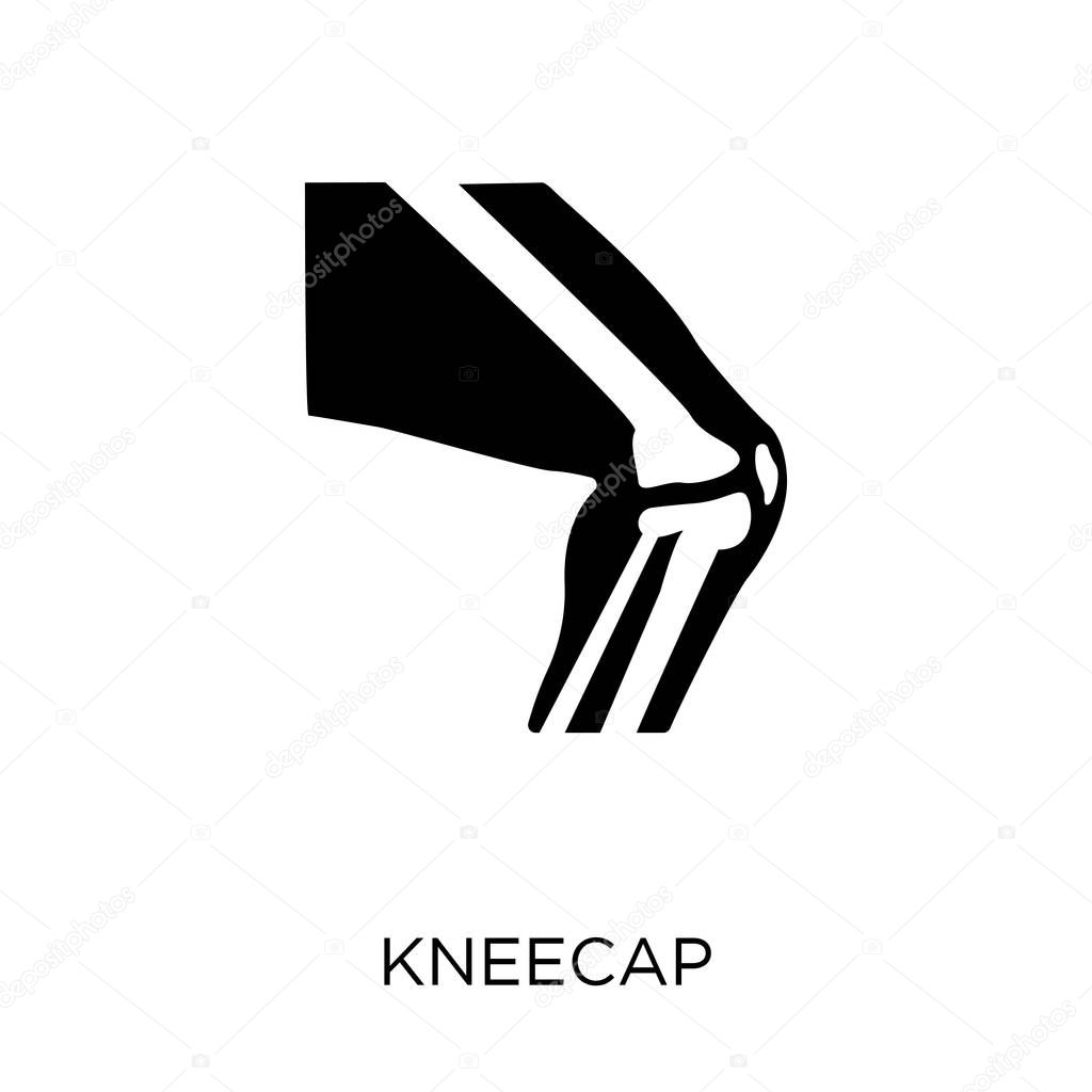 Kneecap icon. Kneecap symbol design from Human Body Parts collection.