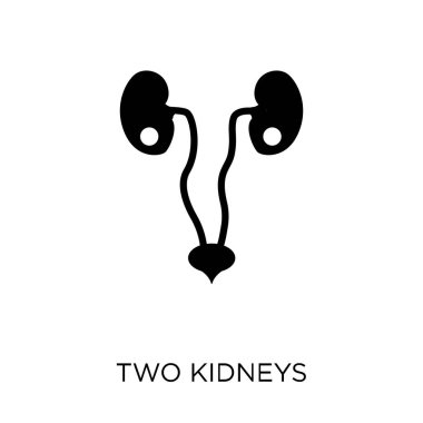 İki böbrek simgesi. İki böbrekler insan vücut parçaları toplama tasarım sembolü.