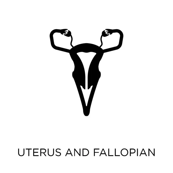 Icône Utérus Trompe Fallope Conception Symboles Utérus Trompe Fallope Collection — Image vectorielle
