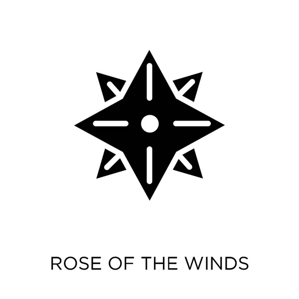 Икона Роза Ветров Дизайн Символов Rose Winds Коллекции Карт Локации — стоковый вектор