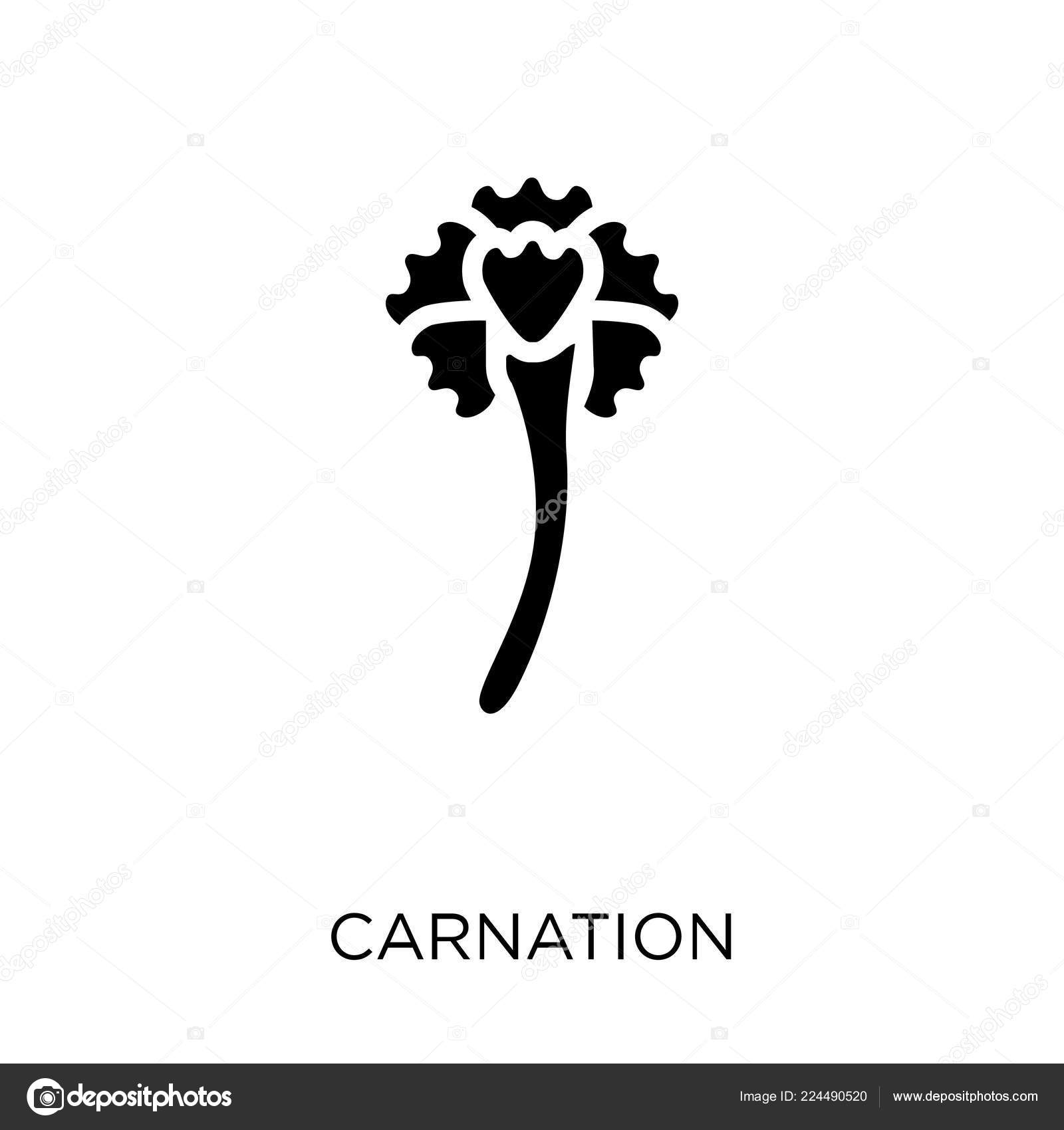 Carnation Icon Carnation Symbol Design Nature Collection Simple Element