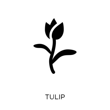Lale simgesi. Lale sembol tasarımı doğa koleksiyonundan. Basit öğe vektör çizim beyaz arka plan üzerinde.
