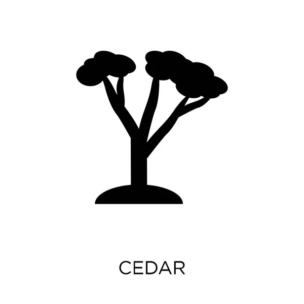 Icono Cedro Diseño Símbolo Cedro Colección Nature Ilustración Simple Del — Vector de stock