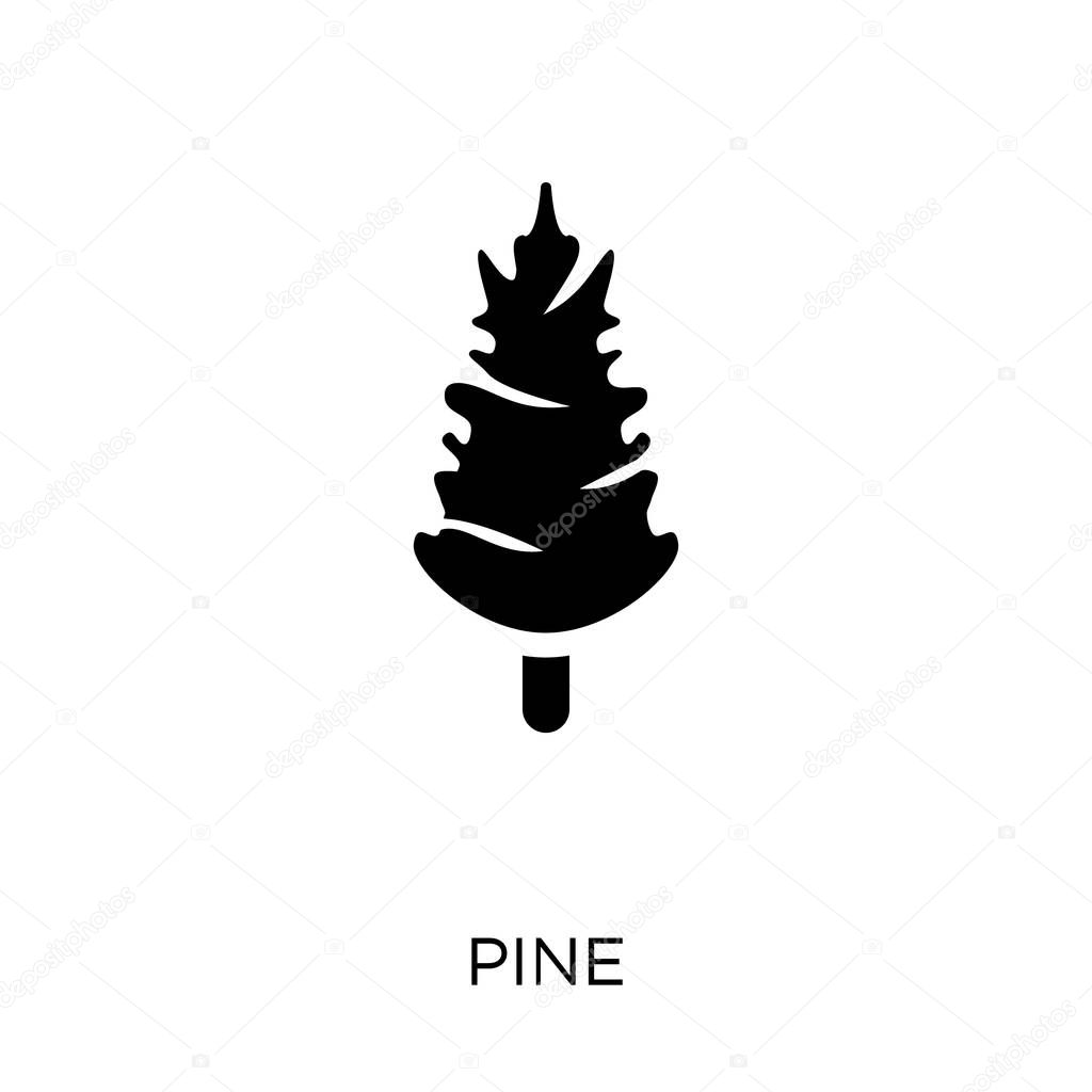 Pine icon. Pine symbol design from Nature collection. Simple element vector illustration on white background.