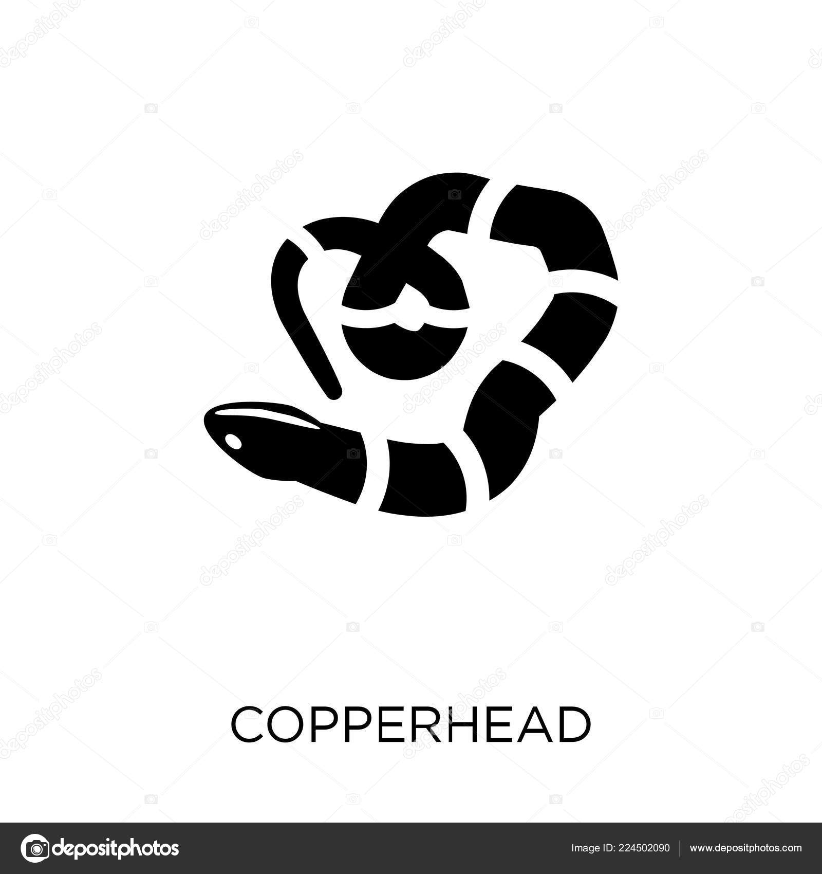 Copperhead Icon Copperhead Symbol Design Animals Collection Simple ...