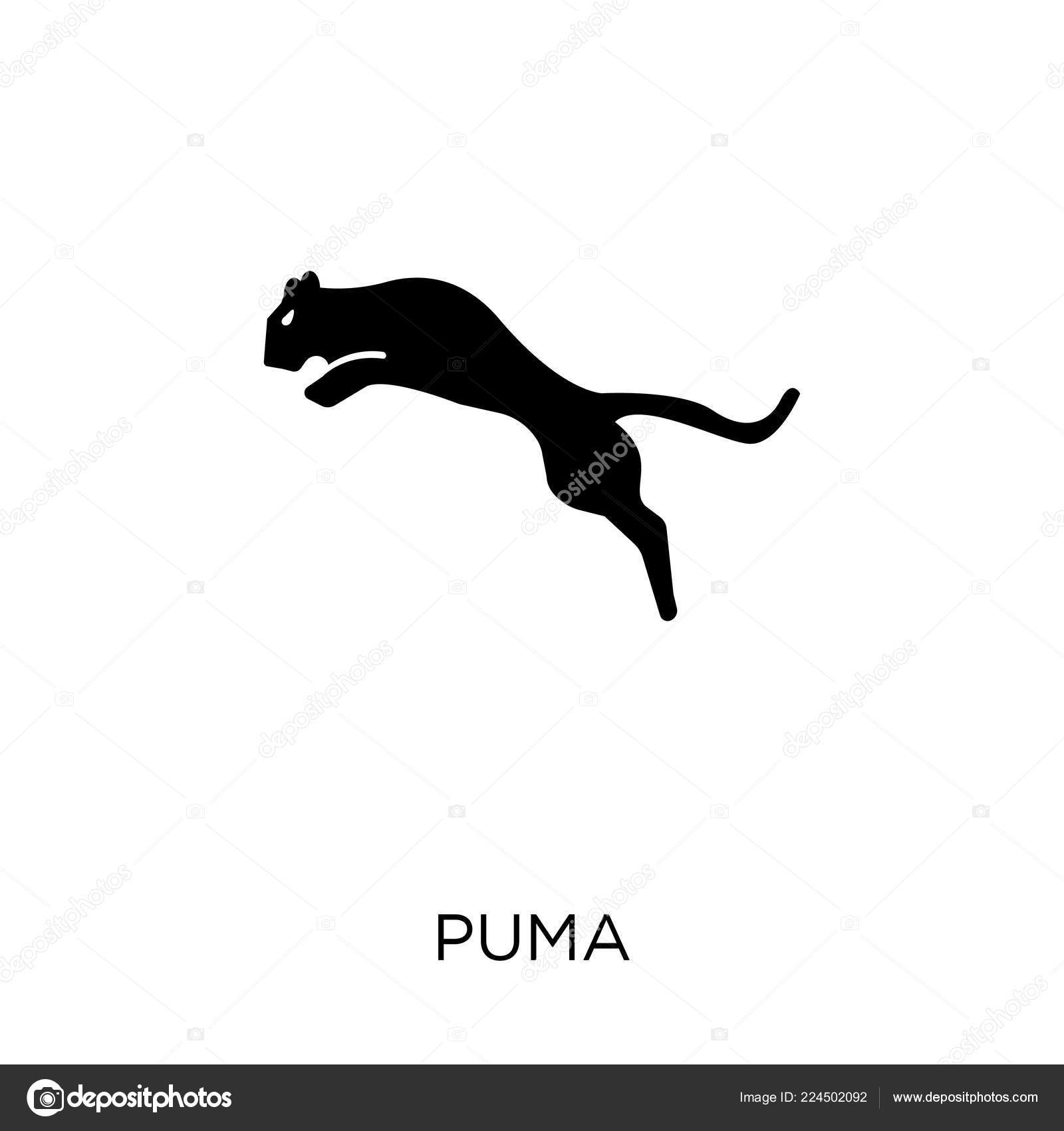 Puma Icon Puma Symbol Design Animals 