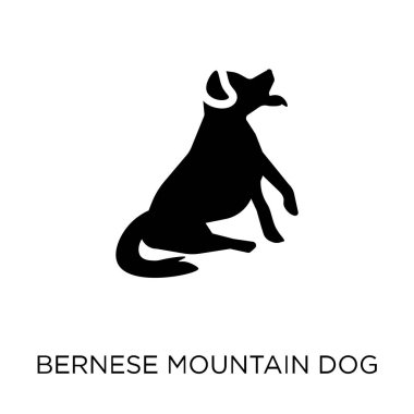 Bernese dağ köpeği simgesi. Bernese dağ köpeği sembolü tasarım köpekler koleksiyonundan. Basit öğe vektör çizim beyaz arka plan üzerinde.
