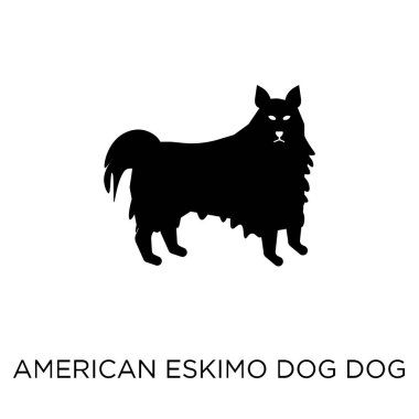 Amerikan Eskimo köpek köpek simgesi. Amerikan Eskimo köpek köpek sembolü tasarım köpekler koleksiyonundan. Basit öğe vektör çizim beyaz arka plan üzerinde.