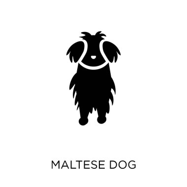 Malta köpek simgesi. Malta köpek sembolü tasarım köpekler koleksiyonundan. Basit öğe vektör çizim beyaz arka plan üzerinde.