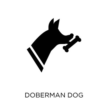 Doberman köpek simgesi. Doberman köpek sembolü tasarım köpekler koleksiyonundan. Basit öğe vektör çizim beyaz arka plan üzerinde.