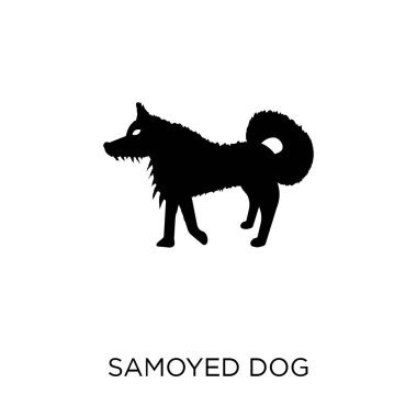 Samoyed köpek simgesi. Samoyed köpek sembolü tasarım köpekler koleksiyonundan. Basit öğe vektör çizim beyaz arka plan üzerinde.