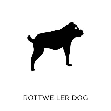 Rottweiler köpek simgesi. Rottweiler köpek sembolü tasarım köpekler koleksiyonundan. Basit öğe vektör çizim beyaz arka plan üzerinde.