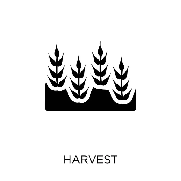 Skörd Ikonen Skörden Symbol Design Från Jordbruk Jordbruk Och Trädgårdsskötsel — Stock vektor
