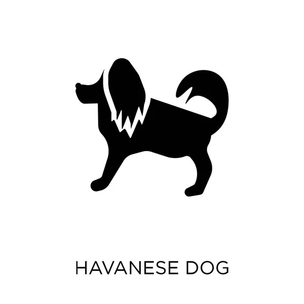Икона Гаванской Собаки Дизайн Символа Собаки Havanese Коллекции Dogs Простая — стоковый вектор