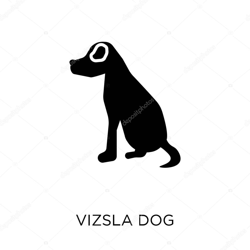 Vizsla dog icon. Vizsla dog symbol design from Dogs collection. Simple element vector illustration on white background.