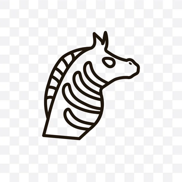 Zebra Vektor Lineares Symbol Isoliert Auf Transparentem Hintergrund Zebra Transparenzkonzept — Stockvektor