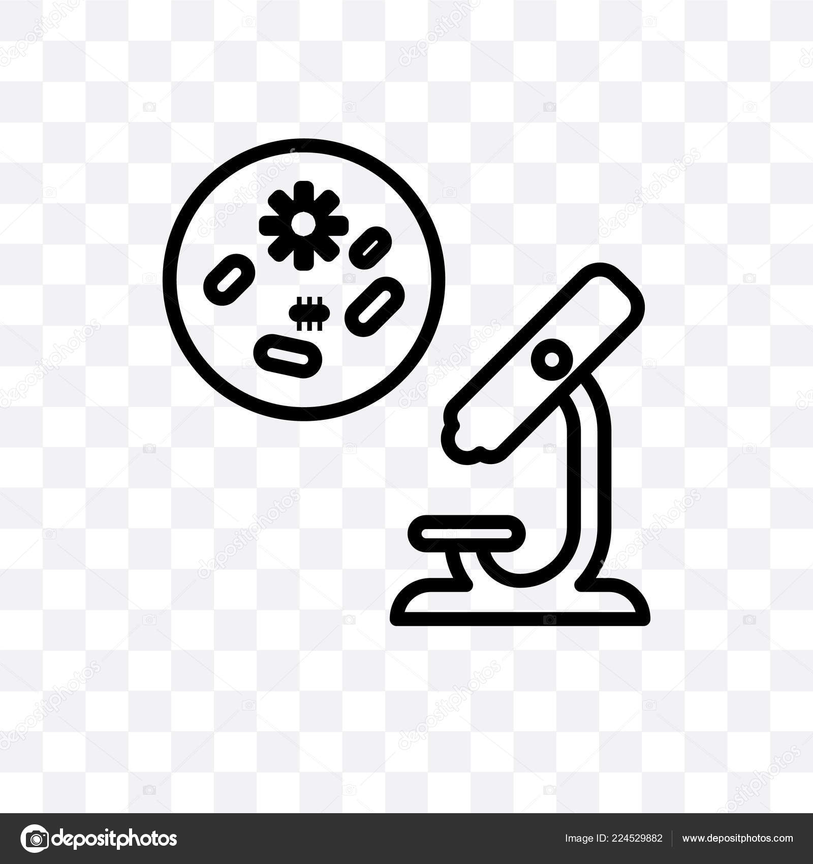 Food Hygiene Vector Linear Icon Isolated Transparent Background