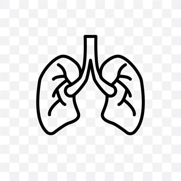 人間の肺ベクトルの線形のアイコンが透明な背景に分離された 人間の肺の透明性の概念を使用して Web や携帯電話 — ストックベクタ