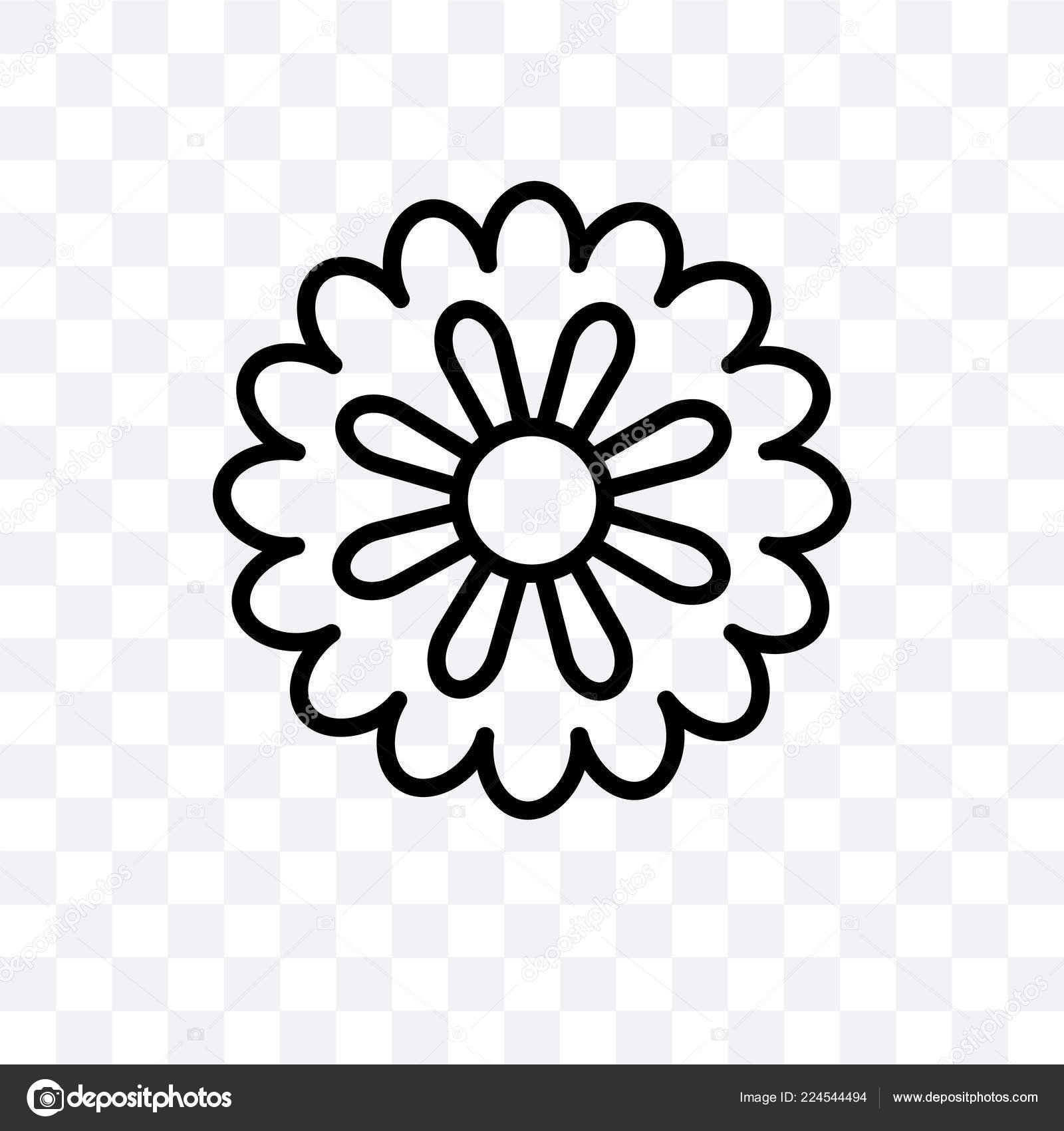 Aster Vector Linear Icon Isolated Transparent Background Aster Transparency  Concept Stock Vector Image by ©CoolVectorStock #224544494