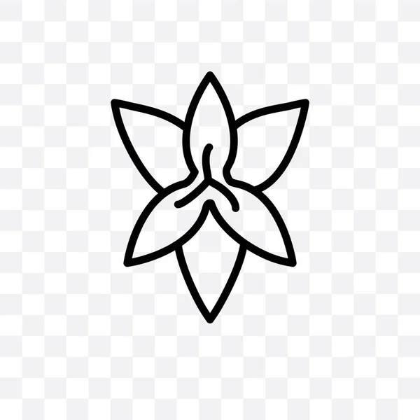 Lily Vector Lineaire Pictogram Geïsoleerd Transparante Achtergrond Lily Transparantie Concept — Stockvector