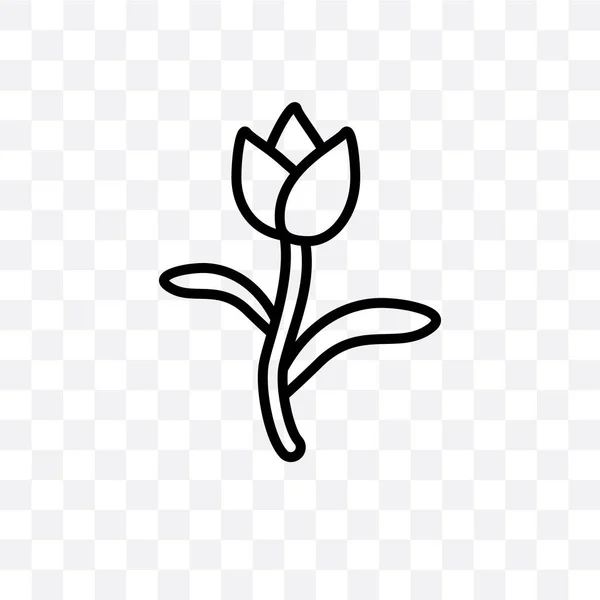 Tulip Vector Lineaire Pictogram Geïsoleerd Transparante Achtergrond Tulip Transparantie Concept — Stockvector