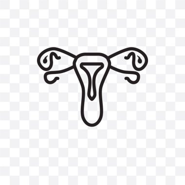 Sigara Gonokokal urethritis vektör lineer simge üzerinde şeffaf arka plan izole, Sigara Gonokokal urethritis saydamlık kavramı web için kullanılan ve mobil olabilir