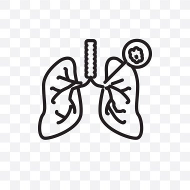 Fenilketonüri vektör lineer simgesi üzerinde şeffaf arka plan izole, Fenilketonüri saydamlık kavramı web ve mobil için kullanılabilir