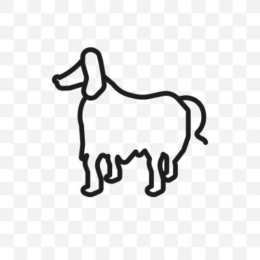 Afgan Tazısı köpek vektör lineer simgesi üzerinde şeffaf arka plan izole, Afgan Tazısı köpek saydamlık kavramı web ve mobil için kullanılabilir
