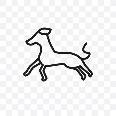 Şeffaf arka plan üzerinde izole havanese köpek vektör lineer simge, Havanese köpek saydamlık kavramı web için kullanılan ve mobil olabilir