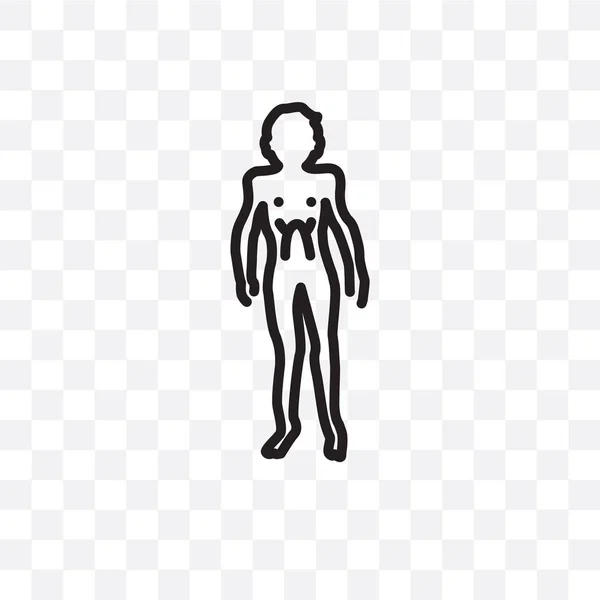 Melanoom Vector Lineaire Pictogram Geïsoleerd Transparante Achtergrond Melanoom Transparantie Concept — Stockvector