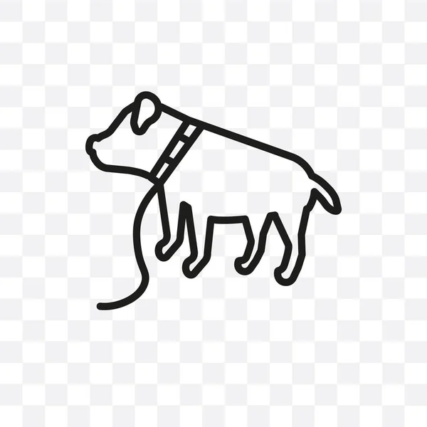 Bracco Italiano Perro Vector Icono Lineal Aislado Sobre Fondo Transparente — Vector de stock