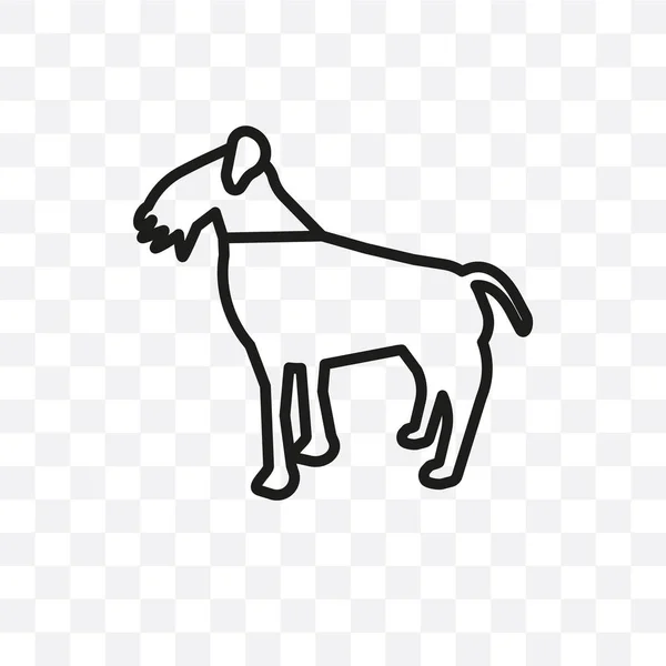 Italienischer Windhund Vektor Lineares Symbol Isoliert Auf Transparentem Hintergrund Italienisches — Stockvektor
