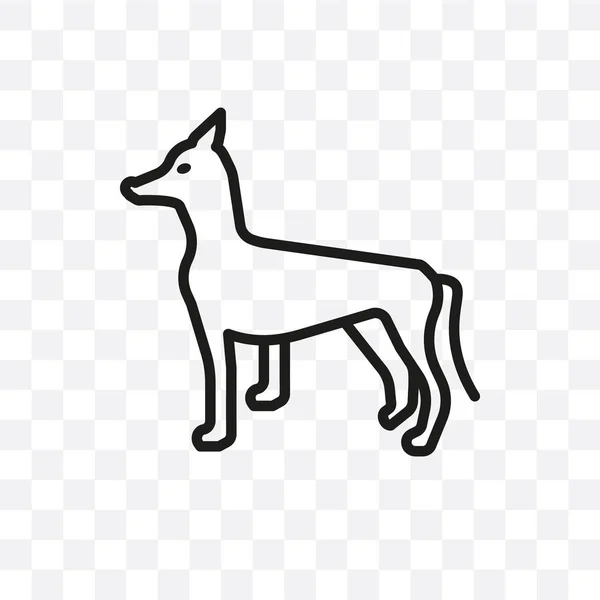 Pes Vektor Lineární Ikonu Izolované Průhledné Pozadí Koncept Transparentnosti Yorkies — Stockový vektor