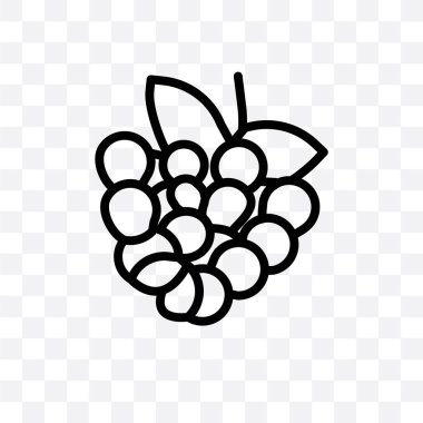 Saydam arka plan üzerinde izole ahududu vektör lineer simge ahududu saydamlık kavramı web için kullanılan ve mobil olabilir