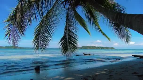 Idyllic Karayip Beyaz Bakir Plajı Suyun Üzerinde Palmiye Ağaçları Var — Stok video