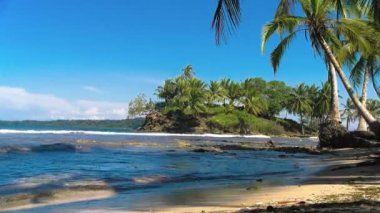Idyllic Karayip beyaz bakir plajı. Suyun üzerinde palmiye ağaçları var. El değmemiş kristal suları olan bozulmamış bir ada. Panama 'daki Bastimentos Ulusal Deniz Parkı' ndaki Bocas del Toro adalarındaki Carenero bakir plajları.