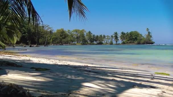 水の上にヤシの木と牧歌的なカリブ海の白い処女のビーチ 自然のままのクリスタルの海と無人島 ボカス トロ島のクレアネロ バージンビーチパナマのアイラ バスティメントトス国立海洋公園の島 — ストック動画