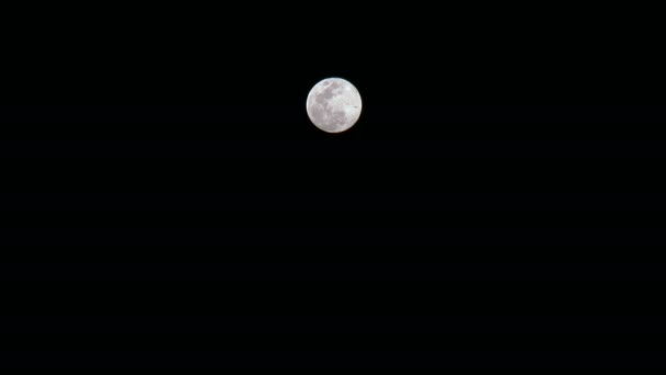 Pleine Lune Avec Silhouette Oiseaux Volant Vers Lune Pleine Lune — Video