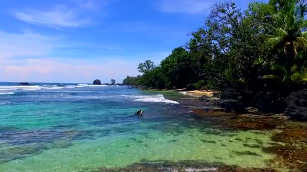 Vergine Incontaminata Isola Caraibica Vista Drone Aereo Acque Turchesi Spiagge — Video Stock