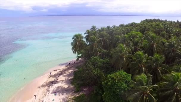未损坏的加勒比海岛海滩空中无人机视图 绿松石水域 白色沙滩 棕榈树和珊瑚礁构成了一个令人敬畏的热带景观 巴拿马博卡斯 Zapatilla — 图库视频影像