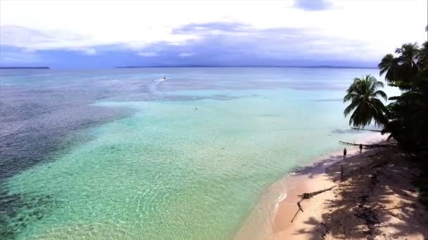 処女のままカリブ海の島ビーチ空中ドローン ビュー ターコイズ ブルーの海 白い砂浜 ヤシの木 サンゴ礁は 素晴らしい熱帯の風景を構成します パナマ ボカスデルトロのケイ — ストック動画