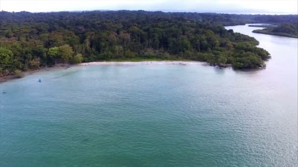 Idylliska Karibiska Vit Jungfru Strand Med Palmer Vattnet Orörd Med — Stockvideo